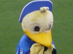 マリノス君