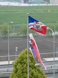日産スタジアムのこいのぼり